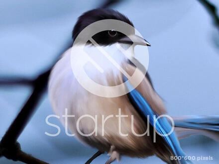 Image-test-3-800-600