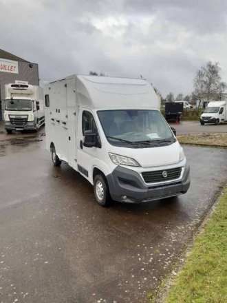 Fiat Ducato Chassis Cabine VAN A CHEVAUX